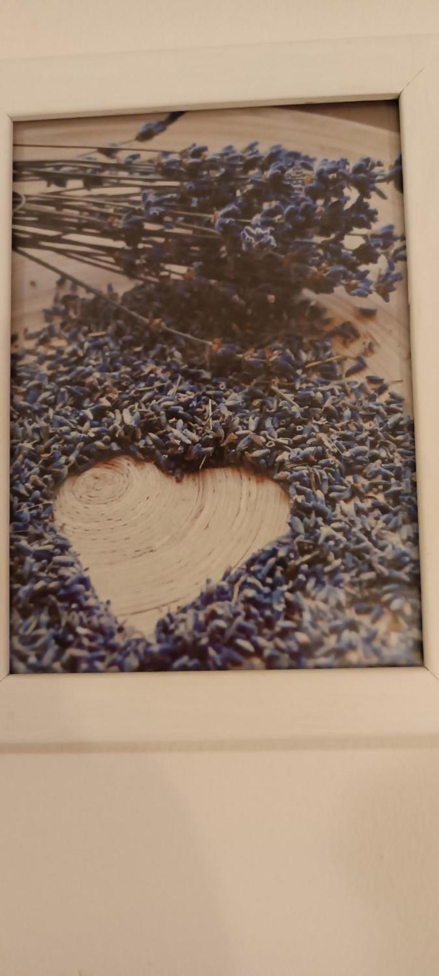 Andela Home - Krka Waterfalls ロゾヴァック エクステリア 写真